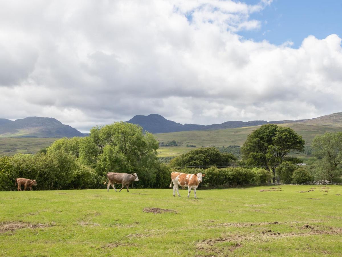 Hendre Cottage Trawsfynydd Kültér fotó